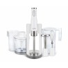 Lauben Stick Blender 800WT