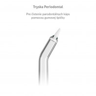 TrueLife AquaFloss Station Periodontal Jet